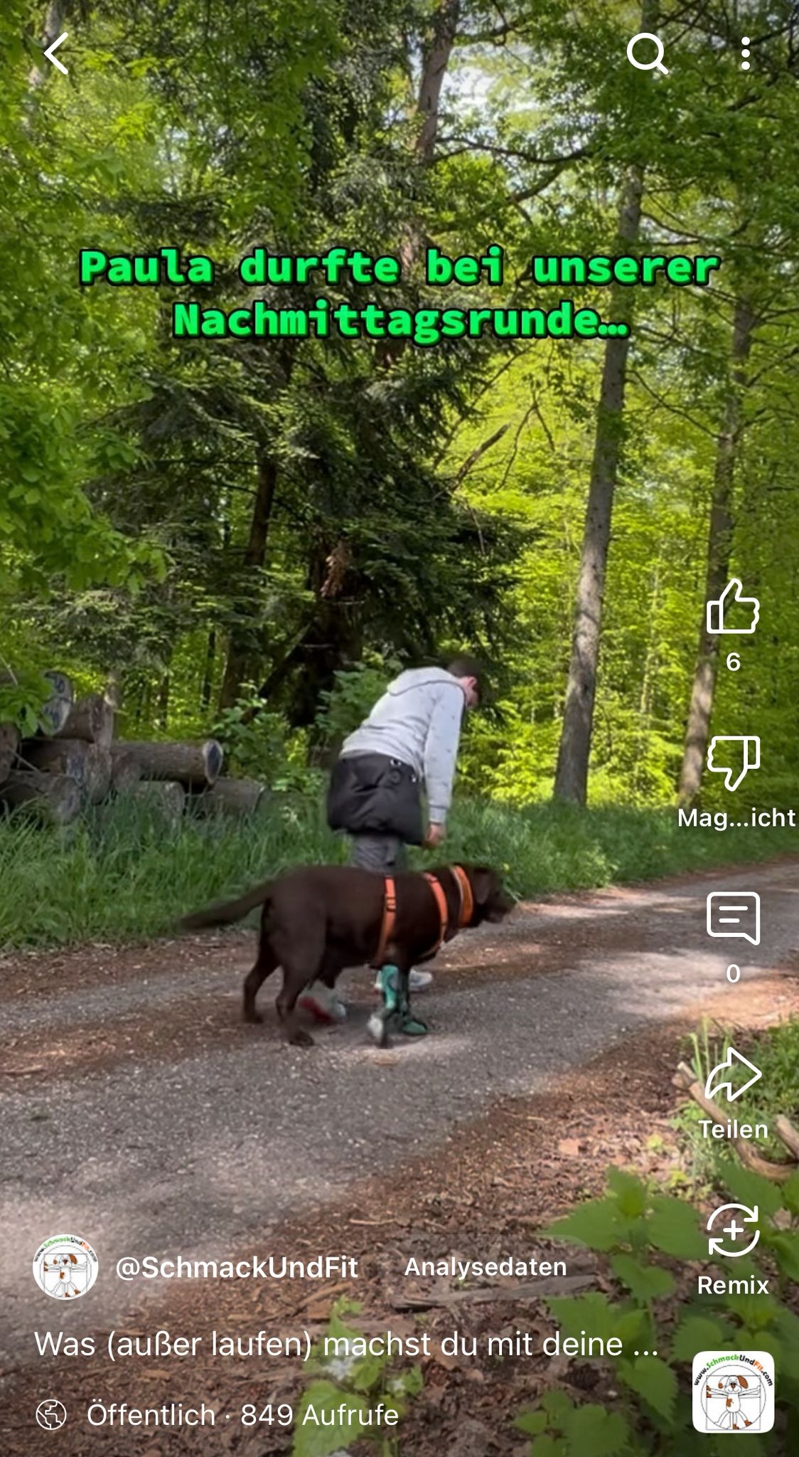 aktiver Hundespaziergang